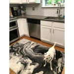 Image 4 of customer photos