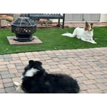 Image 5 of customer photos