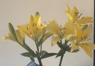 Fresh-Cut Lilies, 3 Stems, Assorted Colors for Office - Walmart