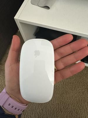 Apple Magic Mouse White - Walmart.ca