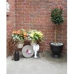 Image 3 of customer photos