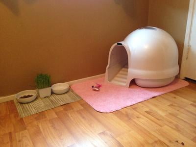 clean step litter box