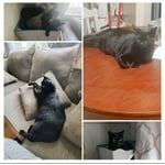 Image 1 of customer photos