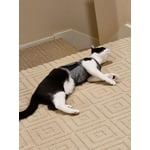 Image 4 of customer photos