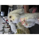 Image 6 of customer photos