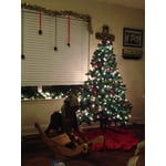 Image 2 of customer photos