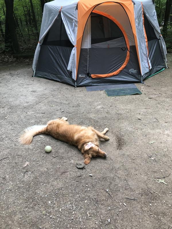 MARUMAN GRAPHITE OCTAGON 8角形【G3】 マルマン グラ Coleman 13'x13' 8-Person Octagon Cabin Tent with Full Fly