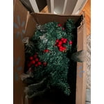 Image 5 of customer photos