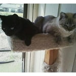 Image 6 of customer photos