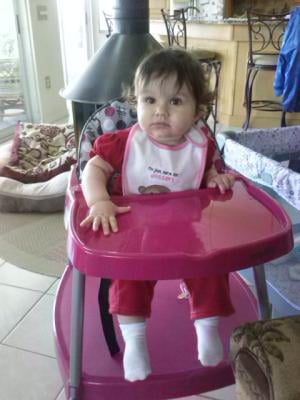evenflo convertible high chair dottie rose