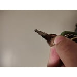 Image 3 of customer photos