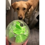 Image 6 of customer photos