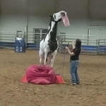 Image 2 of customer photos