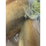 Image 7 of customer photos