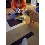 Image 3 of customer photos