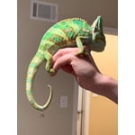 Image 1 of customer photos