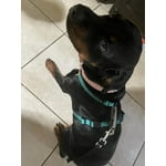 Image 2 of customer photos