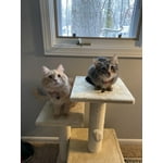 Image 2 of customer photos