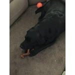 Image 4 of customer photos