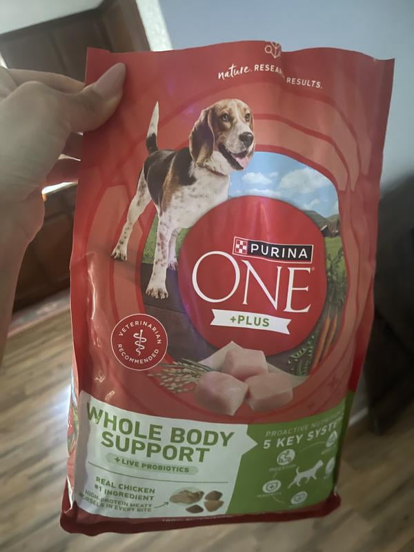 Purina ONE Plus Whole Body Support Chicken Flavor Dry Dog Food, 31.1 lb Bag  - Walmart.com
