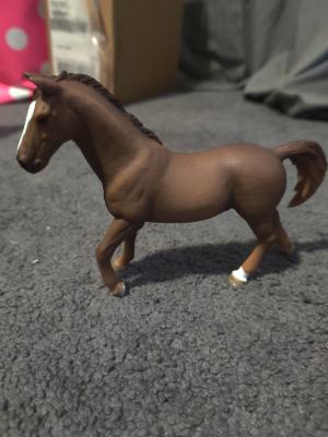 schleich north america big horse show with riders & horses playset