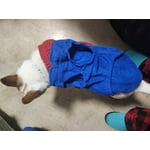 Image 1 of customer photos