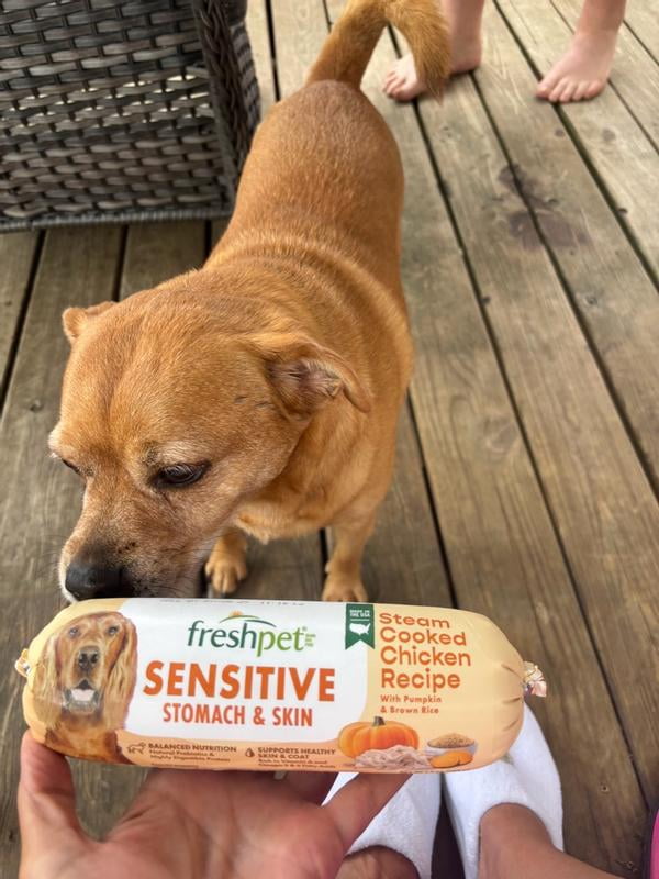 Sensitive Stomach Freshpet Kidney Disease Freshpet Complete