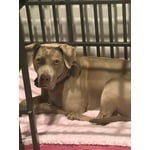 Image 4 of customer photos