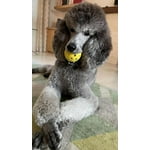 Image 2 of customer photos