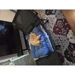 Image 2 of customer photos