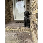 Image 8 of customer photos