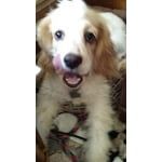 Image 4 of customer photos