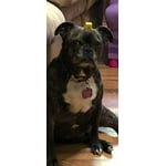 Image 1 of customer photos