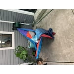 Image 4 of customer photos