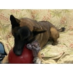 Image 6 of customer photos