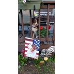 Image 1 of customer photos