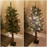 Image 1 of customer photos