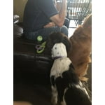 Image 1 of customer photos