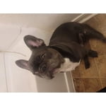 Image 5 of customer photos