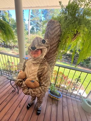 RASTA IMPOSTA Little & Big Unisex Hand Turkey Costume | Brazos Mall