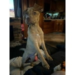 Image 1 of customer photos