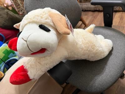 Multipet Lamb Chop Jumbo Plush Dog Toy, Soft White with Squeaker