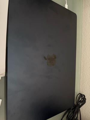 Apple 15