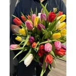 Image 4 of customer photos