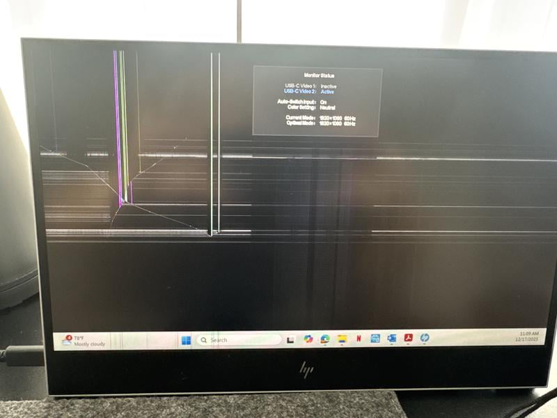 HP E14 G4 Portable Monitor 14