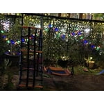 Image 2 of customer photos