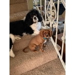 Image 1 of customer photos