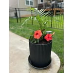 Image 4 of customer photos