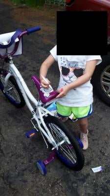 schwinn whiteboard bike
