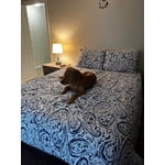 Image 3 of customer photos